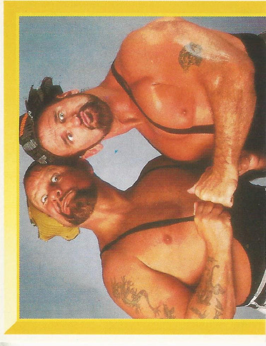 WWF Merlin Sticker 1994 Bushwhackers #296