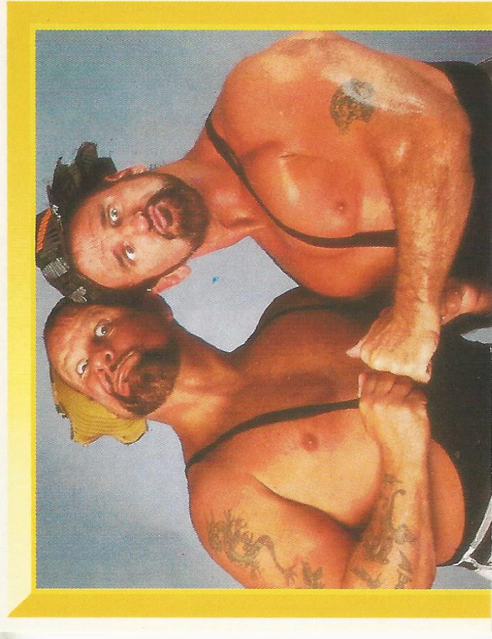WWF Merlin Sticker 1994 Bushwhackers #296