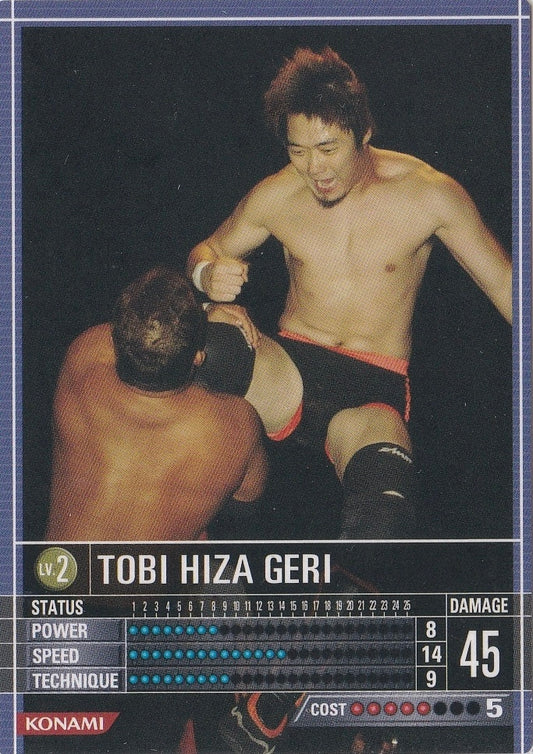 Tobi Hiza Geri