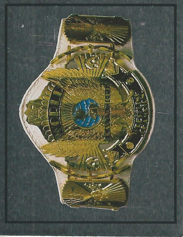 WWF Merlin Sticker 1994 World Championship #298