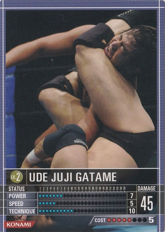 UDE Juji Gatame