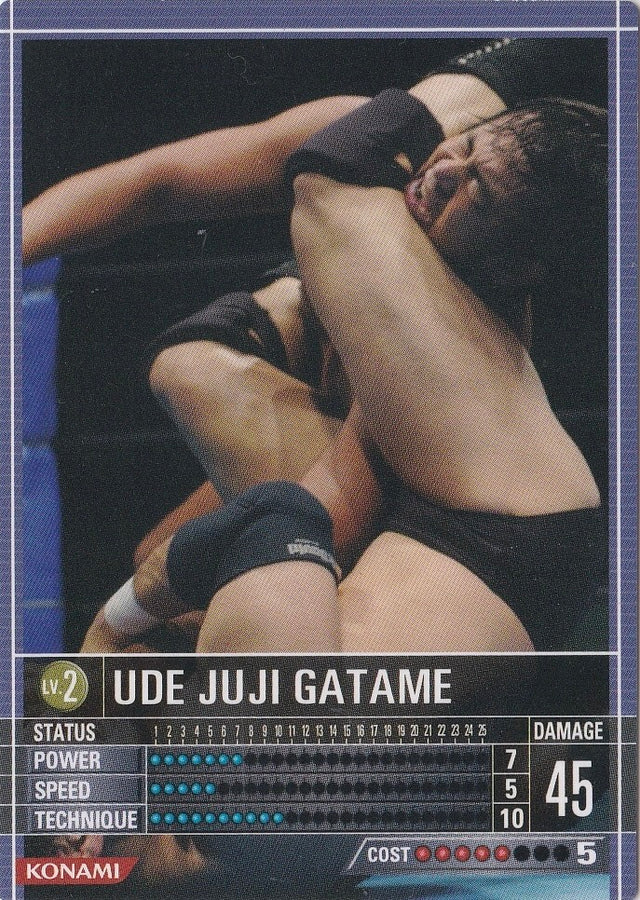 UDE Juji Gatame