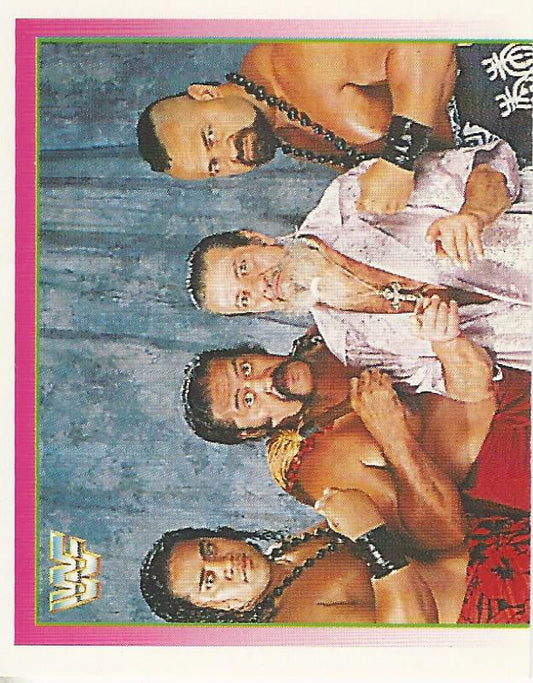 WWF Merlin Stickers 1995 Headshrinkers #299