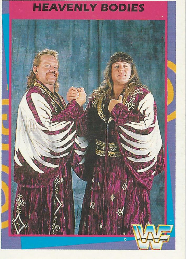 WWF Merlin 1995 Heavenly Bodies #29