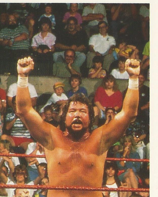 WWF Merlin Stickers 1992 Money Inc #29