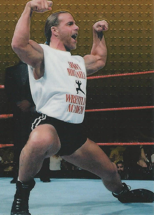 WWF Smackdown Chome 1999 Shawn Michaels #29