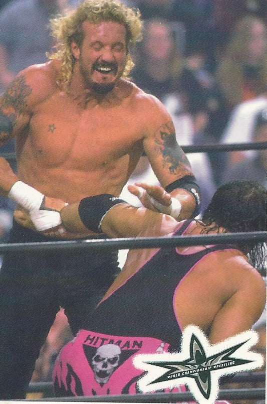 WCW Crazy Planet Stickers 1999 DDP trading card PW Catalog