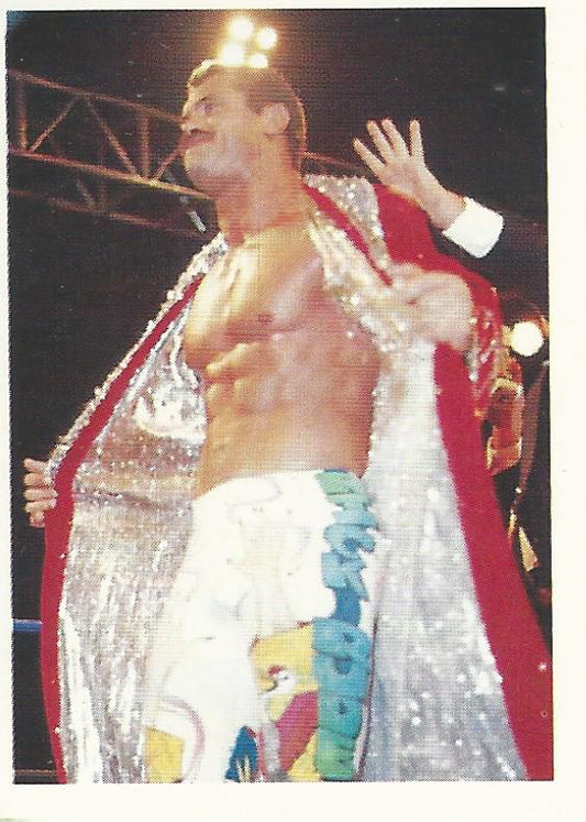 WCW Euroflash 1992 Sticker Rick Rude #29