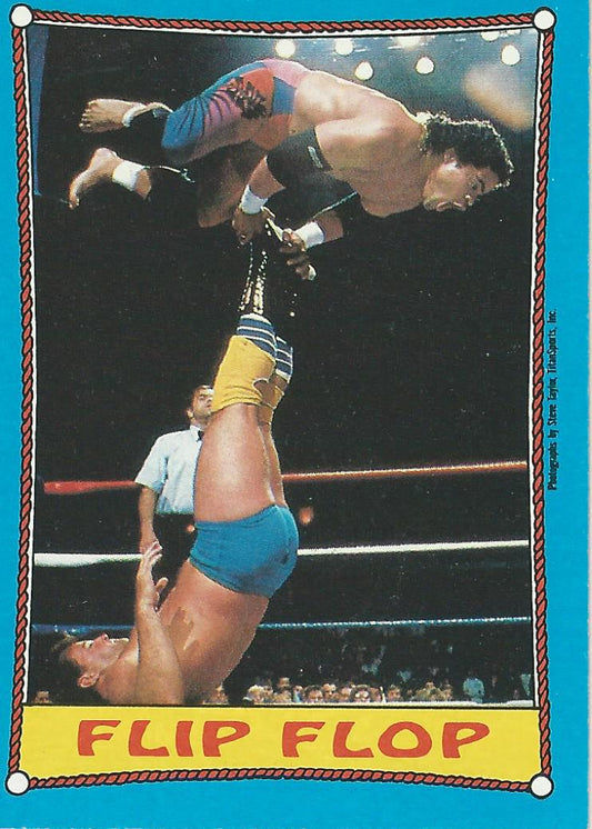 Topps WWF Wrestling Cards 1987 Rougeau Brothers #29
