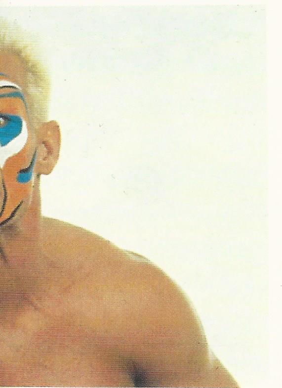 WCW Euroflash 1992 Sticker Sting #2