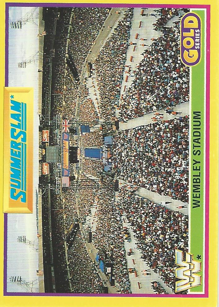 WWF Merlin Gold Series 2 1992 Crowd #2