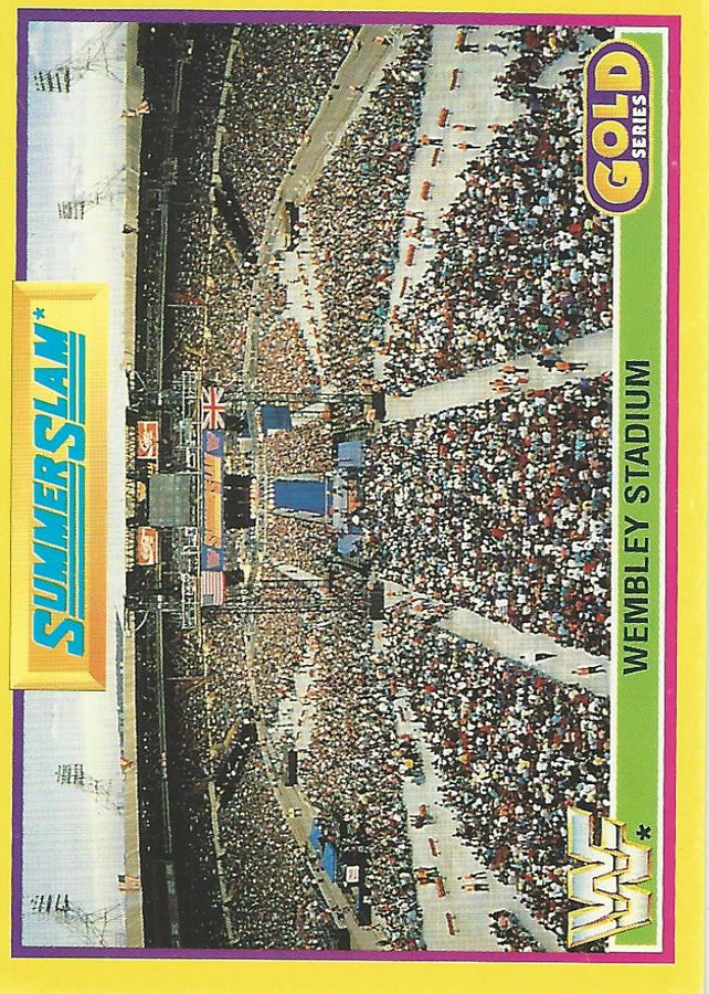 WWF Merlin Gold Series 2 1992 Crowd #2
