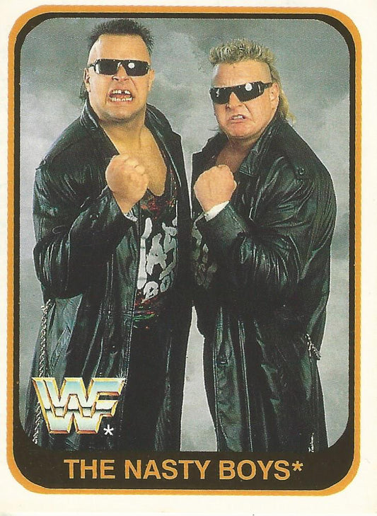 WWF Merlin 1991 Nasty Boys #2