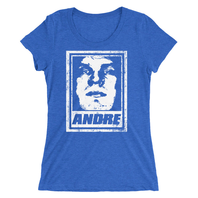 Andre the Giant "Street Art" Women's Tri-Blend T-Shirt T-Shirt PW Catalog