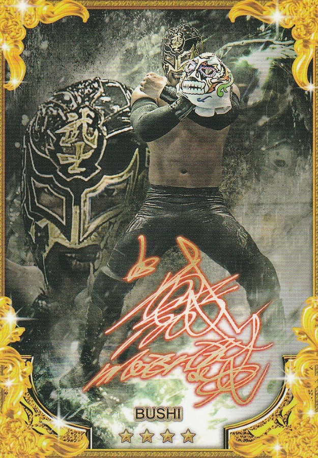 Bushi