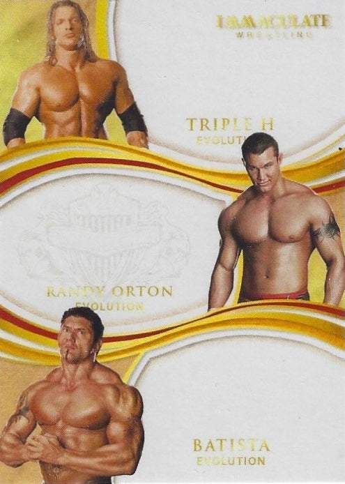 Evolution – Triple H / Randy Orton / Batista trading card PW Catalog