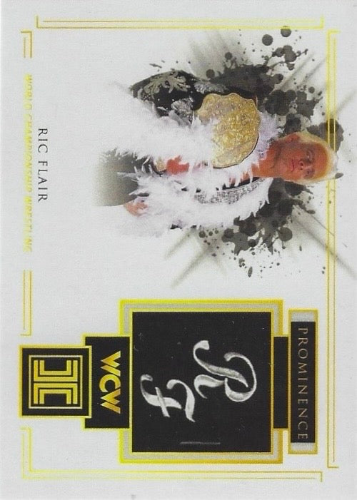RIC Flair – World Championship Wrestling Trading Card PWcatalog