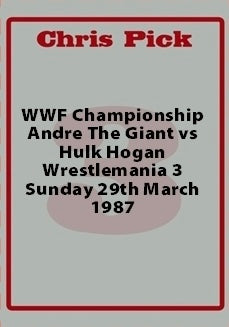 Hulk Hogan vs Andre the Giant