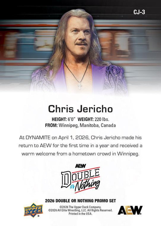 Chris Jericho - image 2