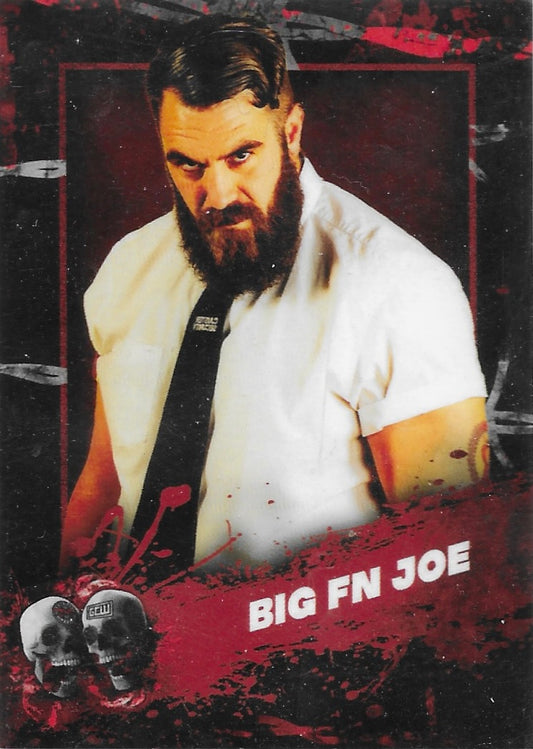 Big FN JOE trading card PW Catalog