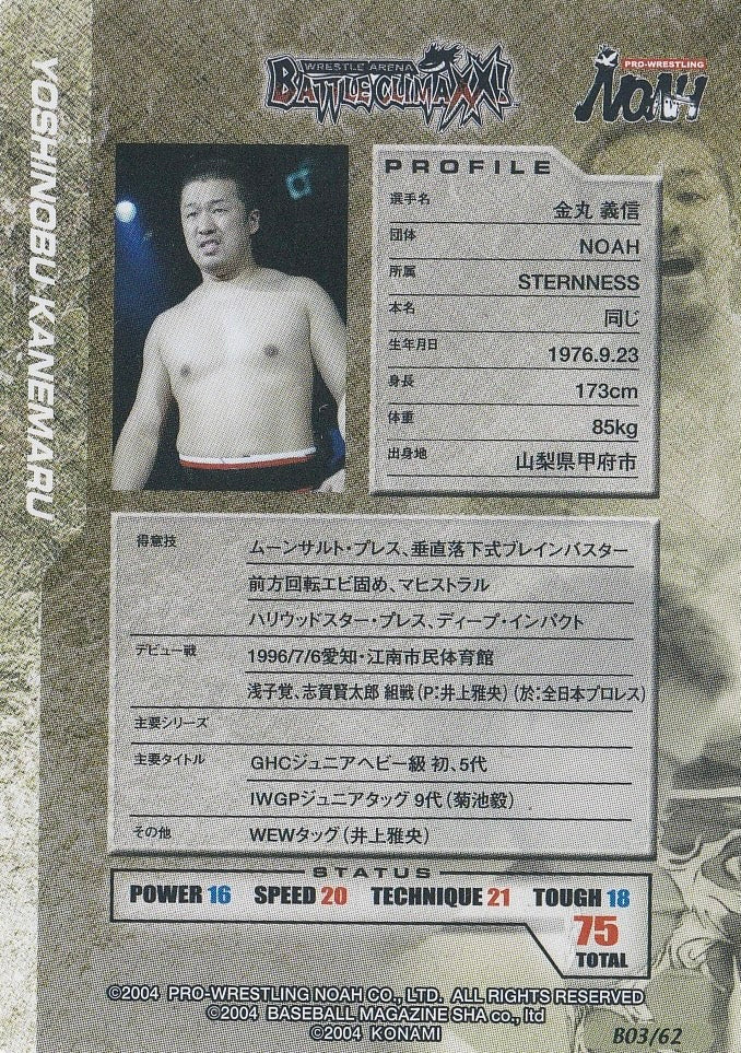 Yoshinobu Kanemaru