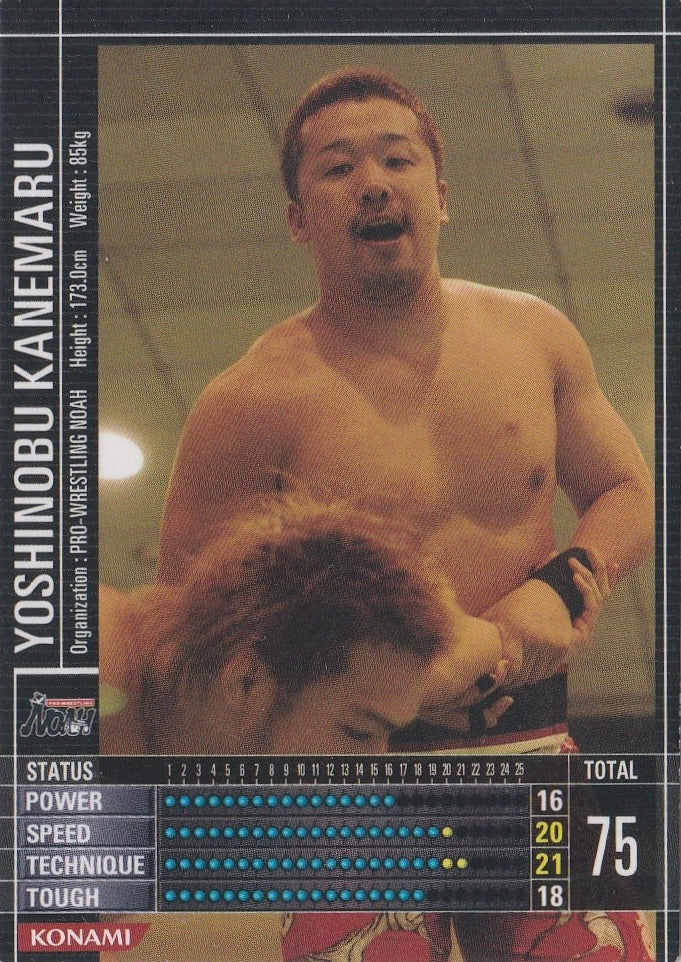 Yoshinobu Kanemaru