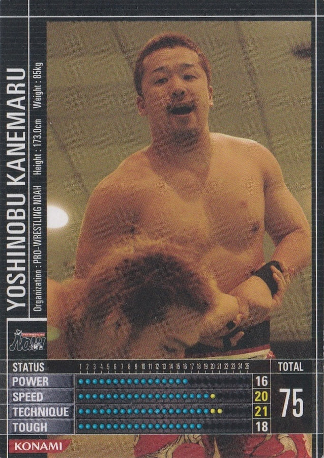 Yoshinobu Kanemaru