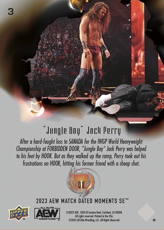 “Jungle Boy” Jack Perry – “Jungle Boy” Jack Perry Stuns Hook With a Cheap Shot