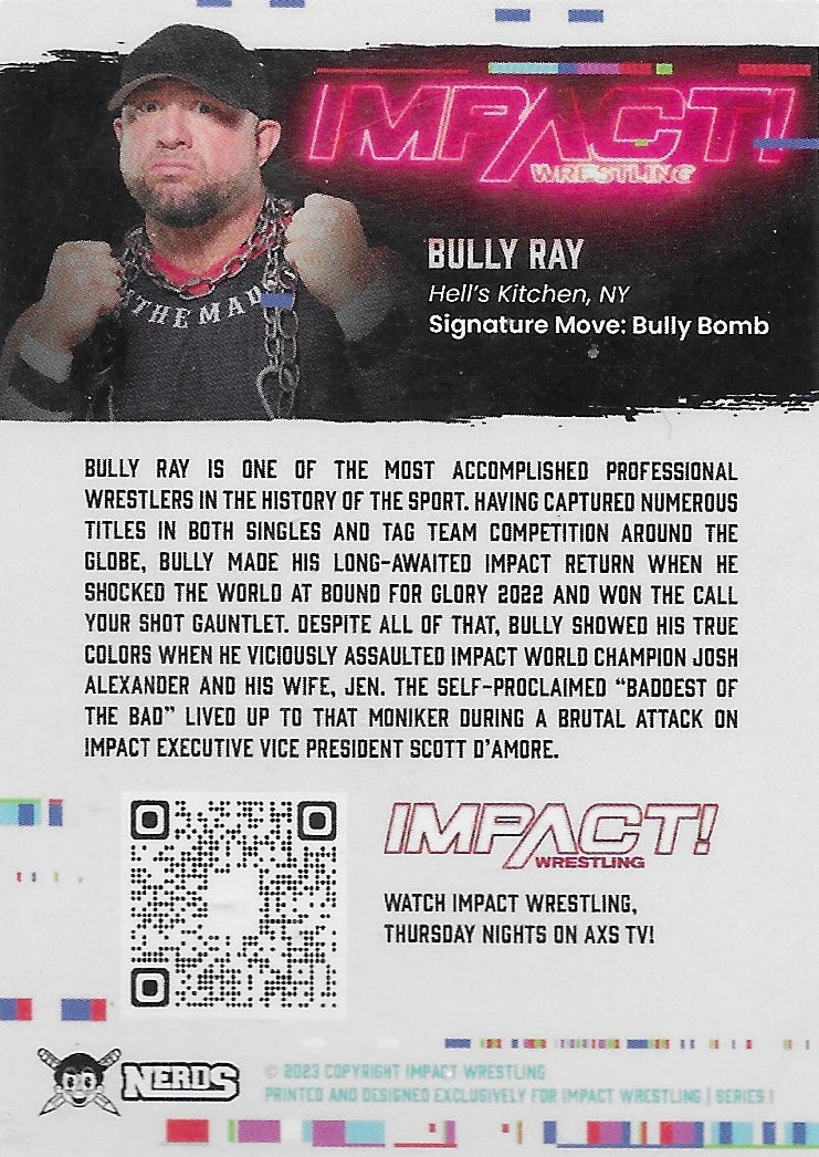 Bully RAY