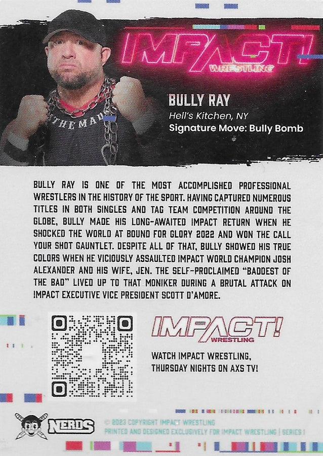 Bully RAY