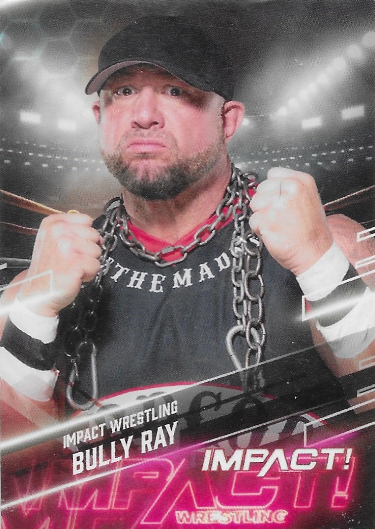 Bully RAY
