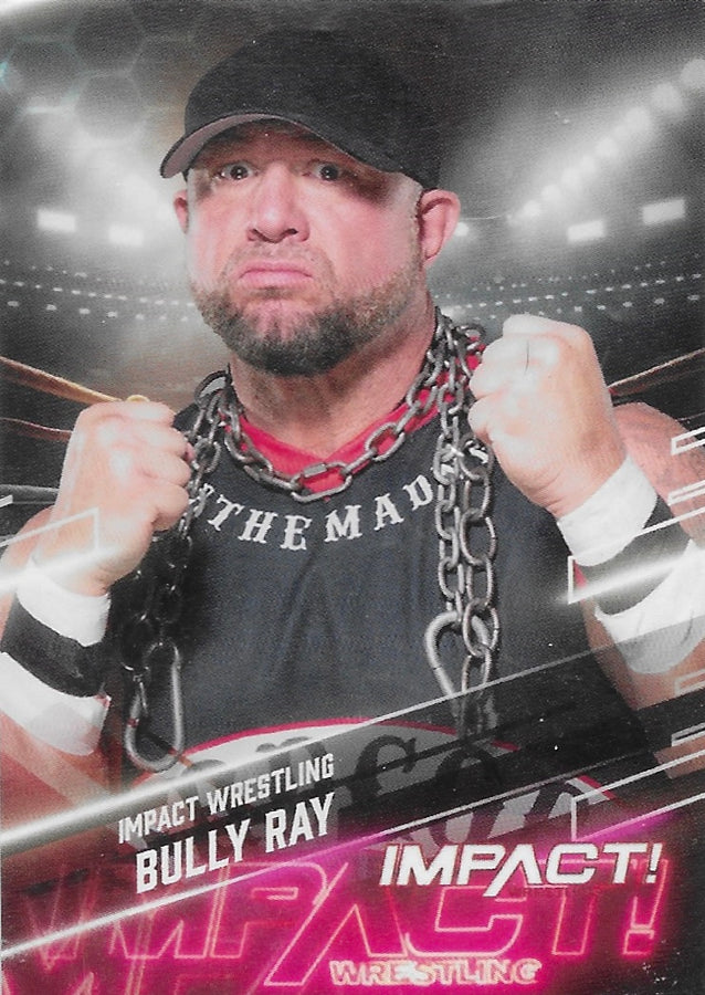 Bully RAY