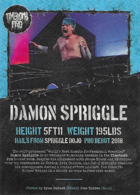 Damon Spriggle