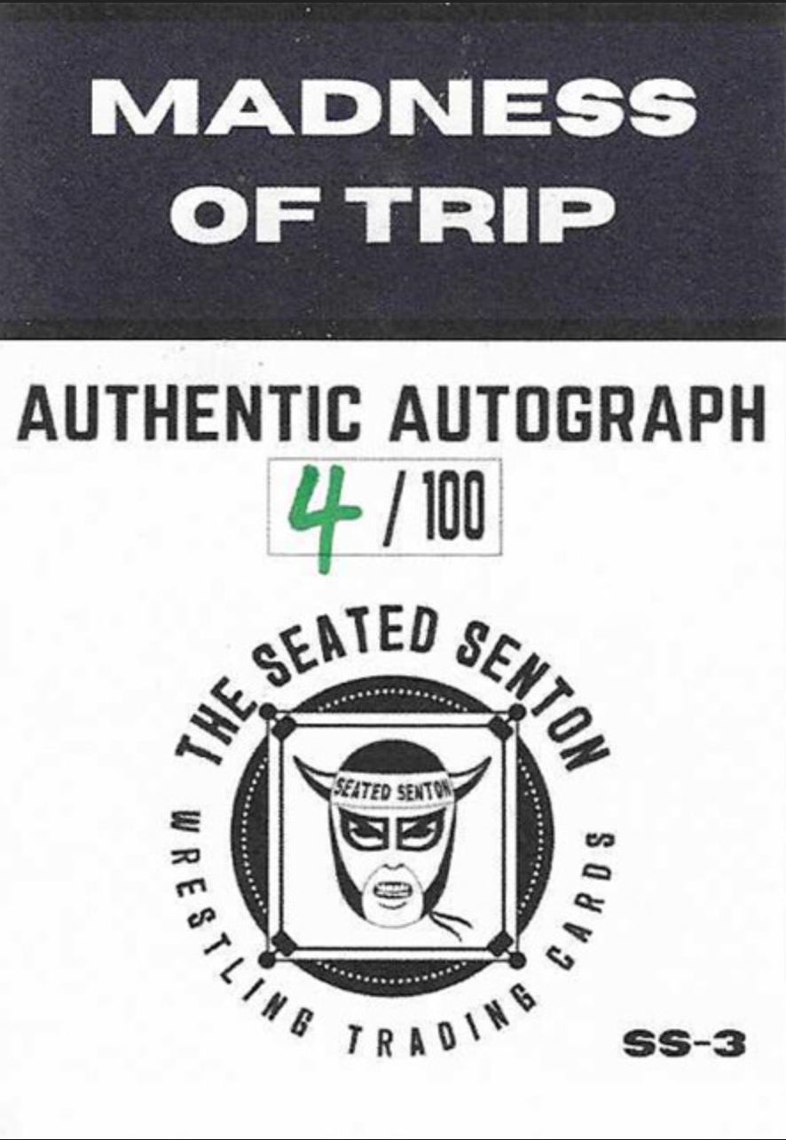 Madness of Trip - image 2