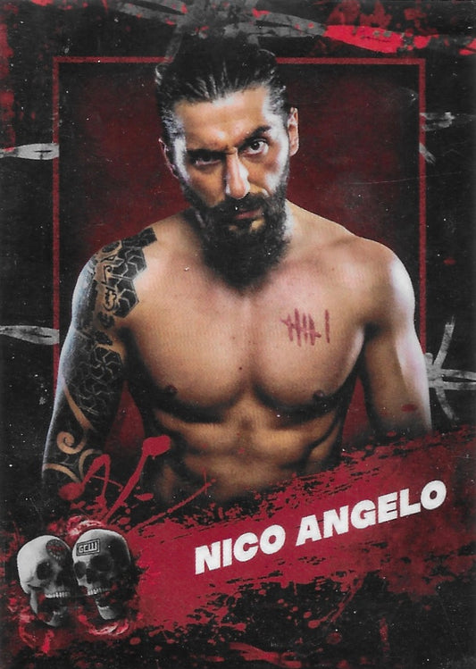 Nico Angelo trading card PW Catalog
