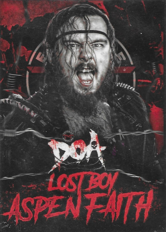 Lost Boy Aspen Faith trading card PW Catalog