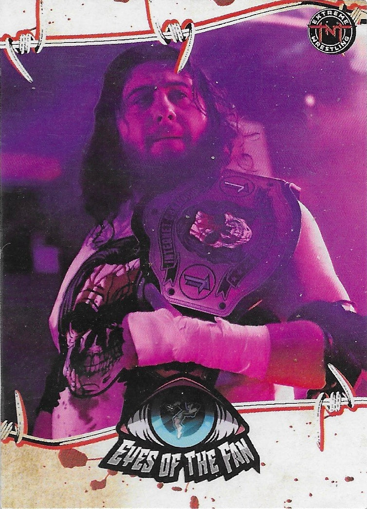 Eyes of the Fan trading card PW Catalog