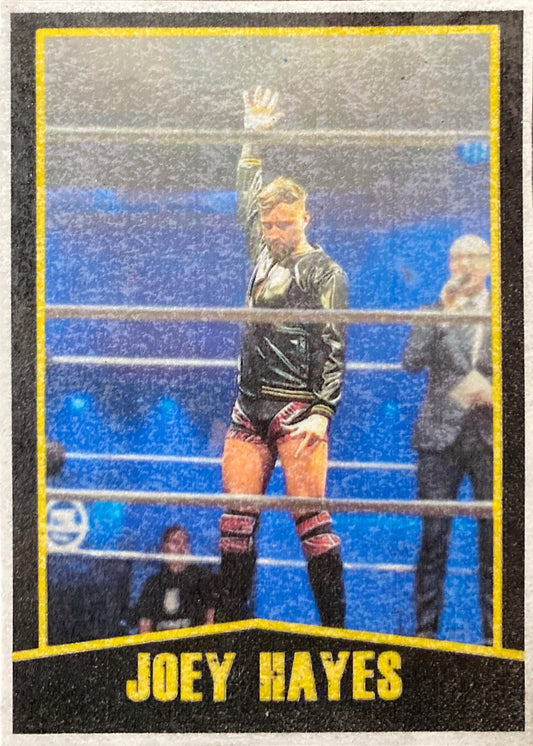 Joey Hayes Trading Card PWcatalog