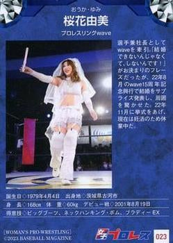Yumi Ohka - image 2