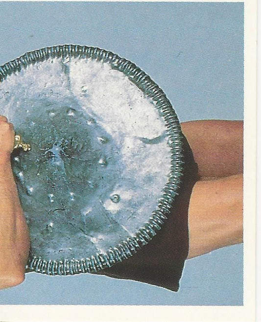 WWF Merlin Stickers 1992 Berzerker #300