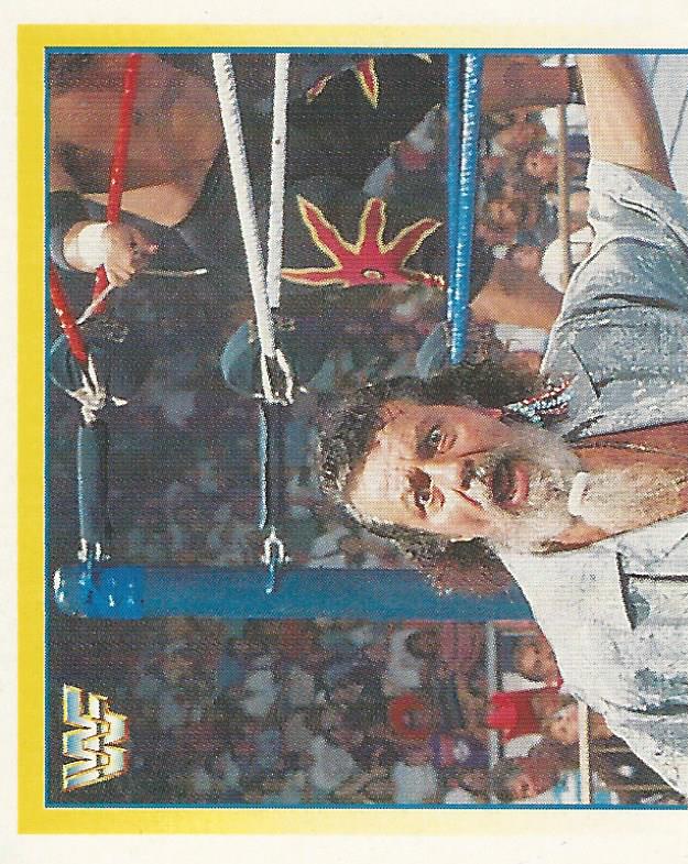 WWF Merlin Stickers 1995 Captain Lou Albano #301