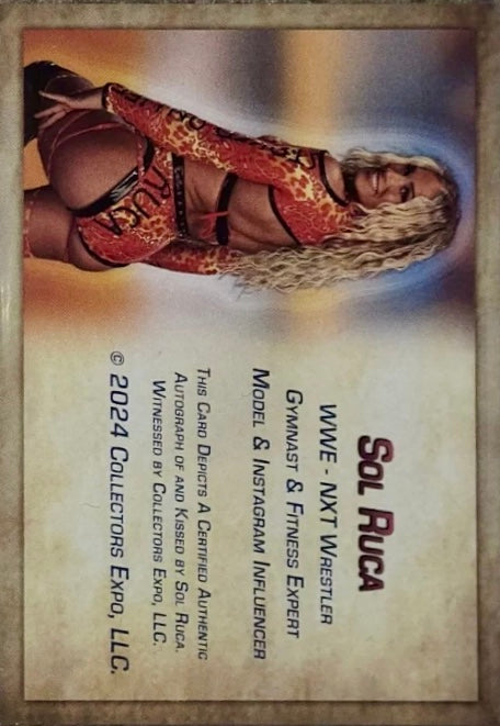 SOL Ruca trading card PW Catalog