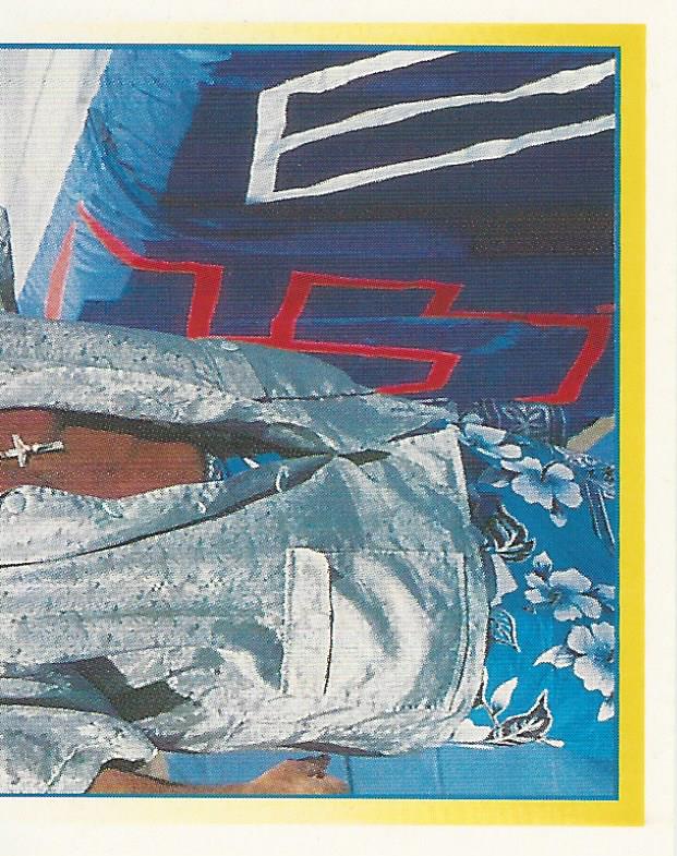 WWF Merlin Stickers 1995 Captain Lou Albano #302