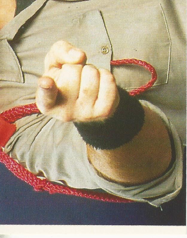 WWF Merlin Stickers 1991 Sgt Slaughter #303