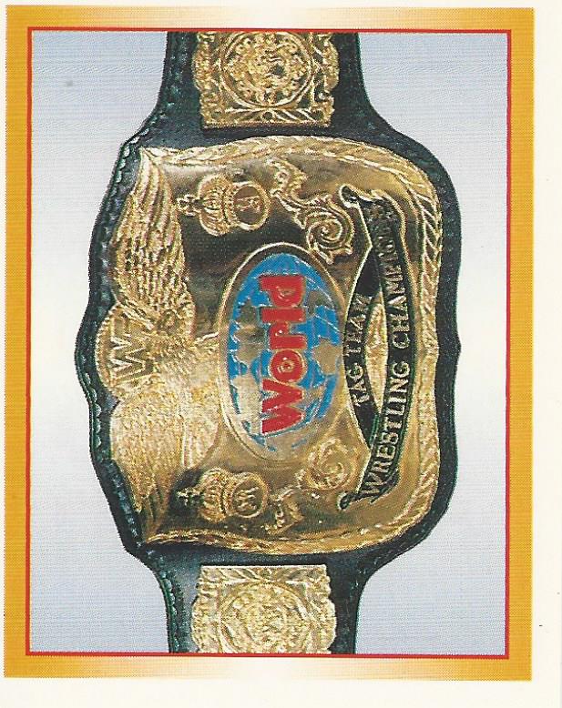 WWF Merlin Stickers 1995 #305