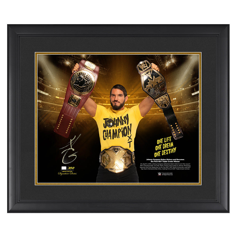 Johnny Gargano "First NXT Triple Crown Winner" Signed 20 x 24 Plaque