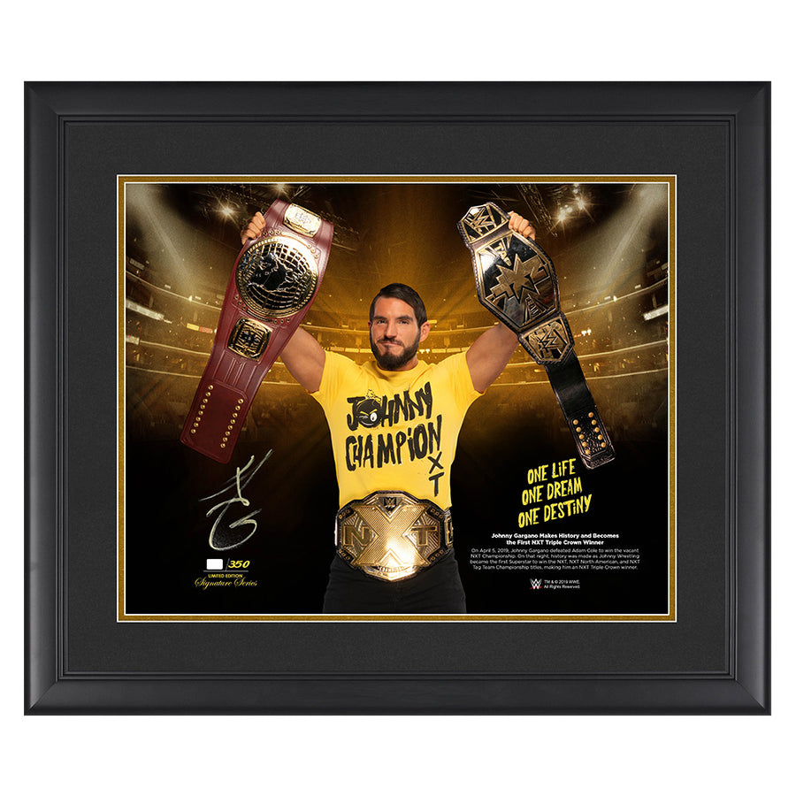 Johnny Gargano "First NXT Triple Crown Winner" Signed 20 x 24 Plaque