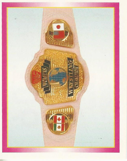WWF Merlin Stickers 1995 #306