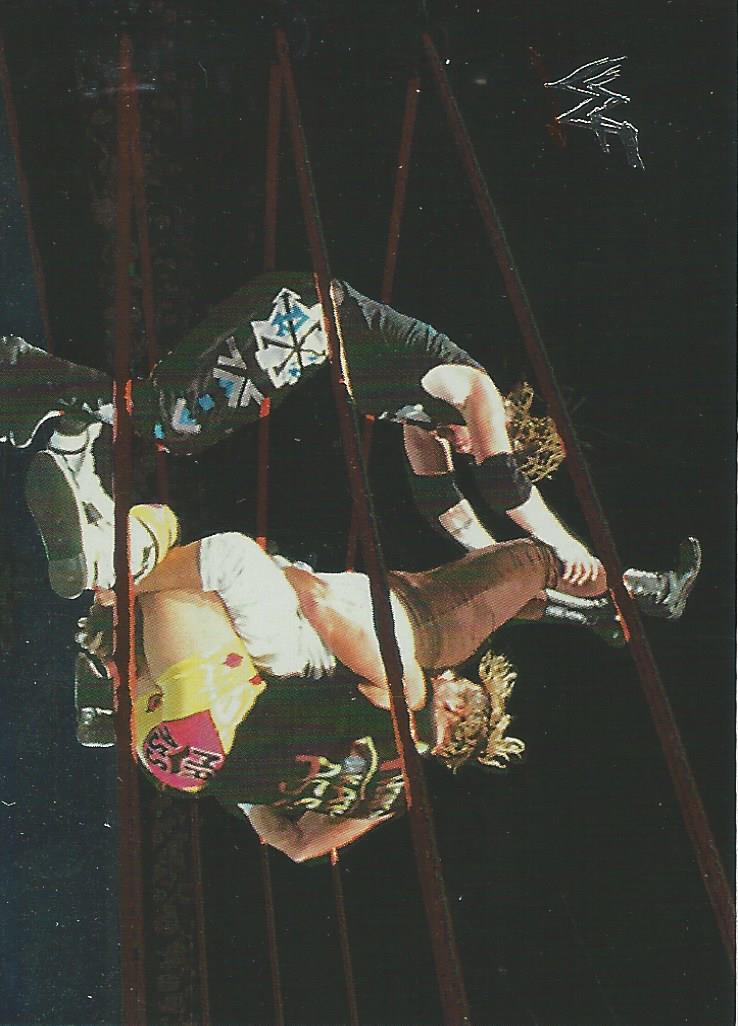 WWF No Mercy 2000 New Age Outlaws #74