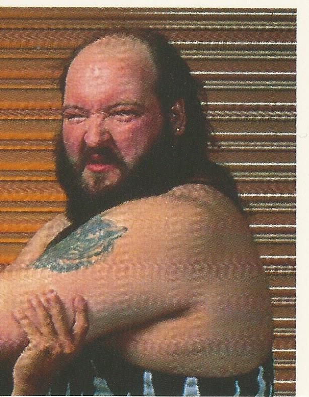 WWF Merlin Stickers 1991 Natural Disasters #30